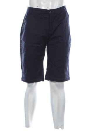 Herren Shorts Unbranded, Größe L, Farbe Blau, Preis € 13,00, #136786592