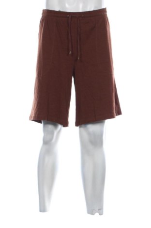 Herren Shorts Laura Torelli, Größe XL, Farbe Braun, Preis 23,00 €, #136799391