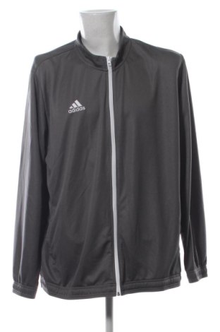 Herren Sweatshirt Adidas, Größe 3XL, Farbe Grau, Preis 33,99 €, #136851522