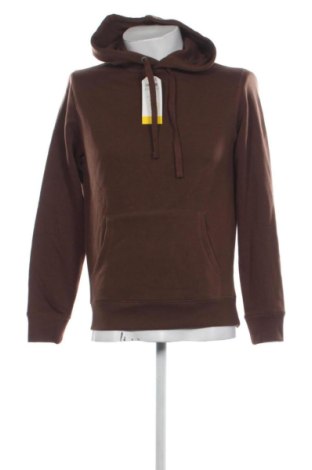 Herren Sweatshirt Terranova, Größe S, Farbe Braun, Preis 15,00 €, #136868771