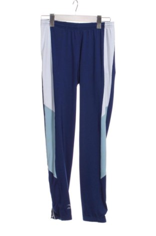 Мъжко спортно долнище Mizuno, Размер S, Цвят Син, Цена 27,09 €, #136833362