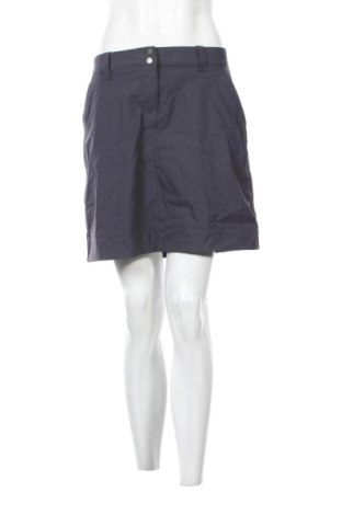 Hosenrock Crivit, Größe L, Farbe Grau, Preis 14,99 €, #136795152