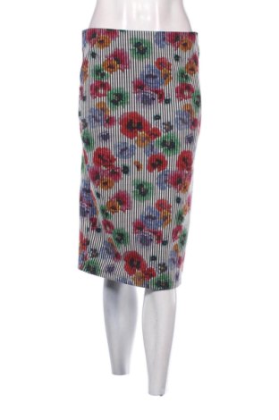 Fustă Zara, Mărime L, Culoare Multicolor, Preț 62,99 Lei, #136825054