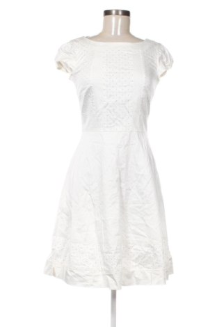 Kleid Bordo, Größe XS, Farbe Mehrfarbig, Preis 14,99 €, #136833979