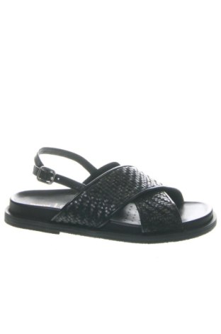 Sandalen Geox, Größe 39, Farbe Schwarz, Preis 104,99 €, #136817088