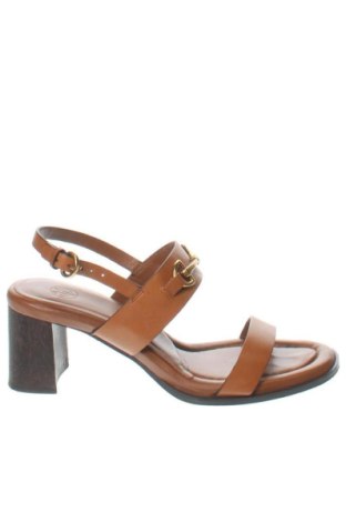 Sandále Massimo Dutti, Veľkosť 37, Farba Hnedá, Cena  62,00 €, #136781282