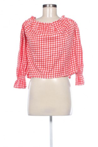 Γυναικεία μπλούζα Terranova, Μέγεθος L, Χρώμα Πολύχρωμο, Τιμή 1,99 €