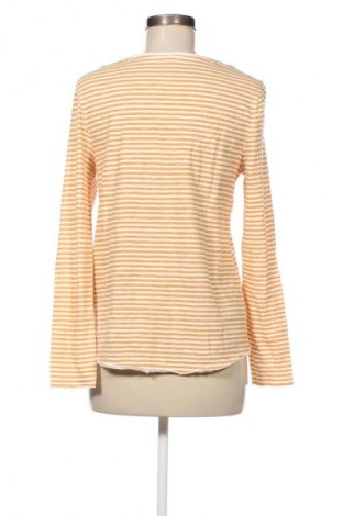 Dámska blúza Unbranded, Veľkosť L, Farba Viacfarebná, Cena  1,95 €