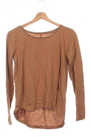 Dámska blúza Unbranded, Veľkosť XS, Farba Hnedá, Cena  1,95 €
