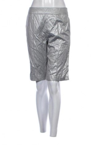 Dámské kraťasy  Hilton Hollis, Velikost M, Barva Stříbrná, Cena  289,00 Kč