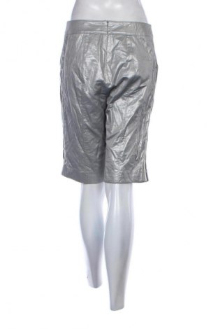 Dámské kraťasy  Hilton Hollis, Velikost M, Barva Stříbrná, Cena  289,00 Kč