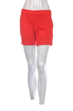 Damen Shorts Jbc, Größe S, Farbe Rot, Preis 1,99 €