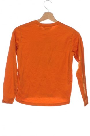 Dziecięca bluzka Regatta, Rozmiar 10-11y/ 146-152 cm, Kolor Pomarańczowy, Cena 66,99 zł