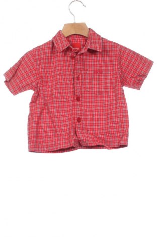 Dziecięca koszula Esprit, Rozmiar 9-12m/ 74-80 cm, Kolor Kolorowy, Cena 6,99 zł