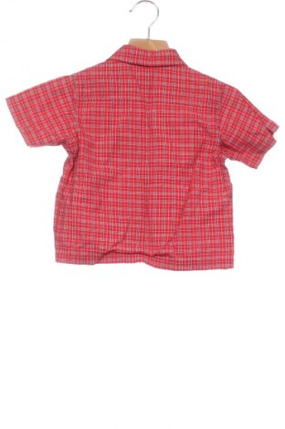 Dziecięca koszula Esprit, Rozmiar 9-12m/ 74-80 cm, Kolor Kolorowy, Cena 6,99 zł