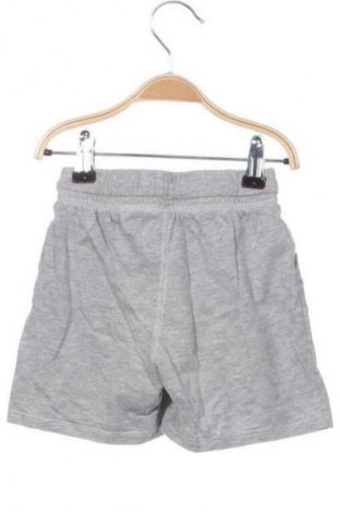 Dziecięce szorty Unbranded, Rozmiar 1-2m/ 50-56 cm, Kolor Szary, Cena 6,99 zł