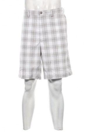 Мъжки къс панталон Haggar, Размер XL, Цвят Многоцветен, Цена 3,06 €