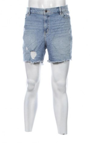 Herren Shorts Lane Bryant, Größe XL, Farbe Blau, Preis € 3,99