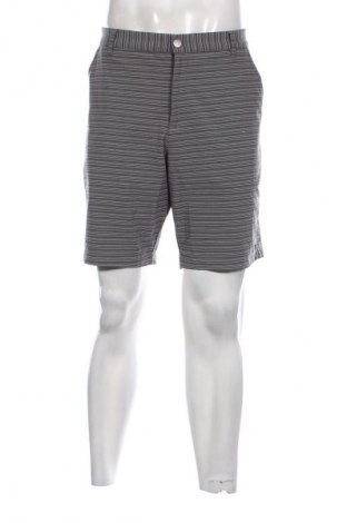 Herren Shorts PUMA, Größe L, Farbe Grau, Preis € 25,99
