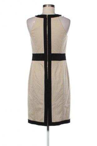 Šaty  Ann Taylor, Velikost S, Barva Vícebarevné, Cena  409,00 Kč