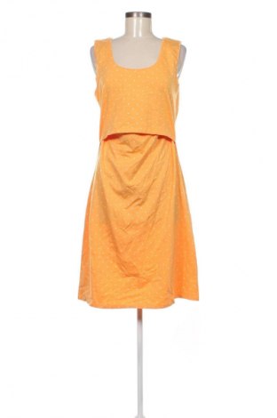 Rochie Boob, Mărime XL, Culoare Multicolor, Preț 48,99 Lei