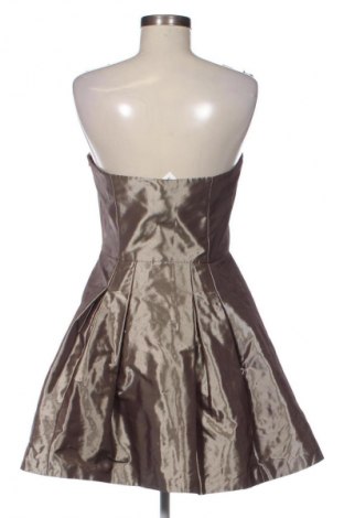 Kleid Coast, Größe XL, Farbe Beige, Preis 31,99 €