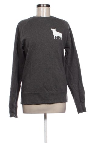 Damen Shirt Earth Positive, Größe M, Farbe Grau, Preis € 9,33, #136854327