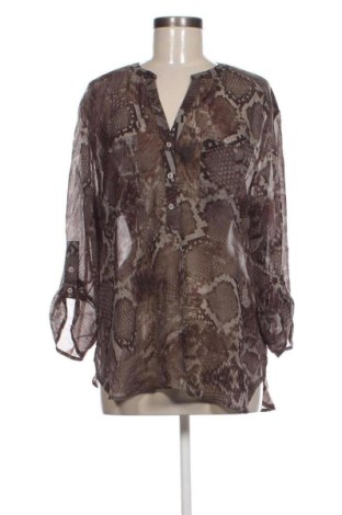 Damen Shirt Fred David, Größe XL, Farbe Mehrfarbig, Preis € 6,99, #136912609