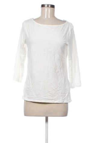 Damen Shirt Hallhuber, Größe XL, Farbe Weiß, Preis 13,99 €, #136926061