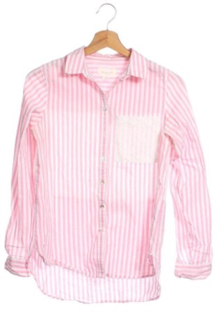 Damenbluse Springfield, Größe XS, Farbe Mehrfarbig, Preis 8,99 €, #136837287