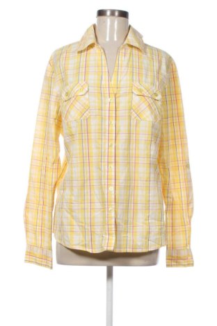 Damenbluse Haggar, Größe L, Farbe Mehrfarbig, Preis 8,99 €, #136912171