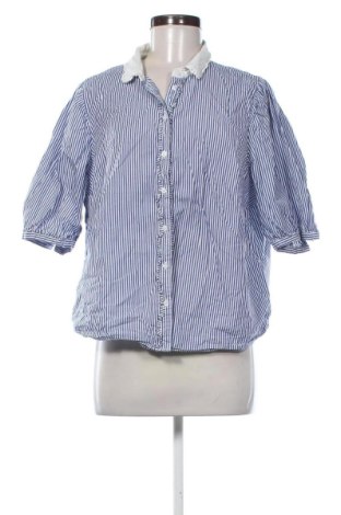 Damenbluse Holly & Whyte By Lindex, Größe XL, Farbe Mehrfarbig, Preis 13,65 €, #136853508