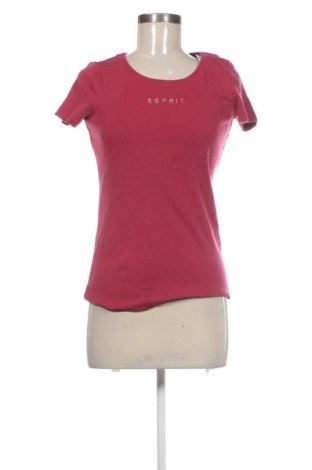 Női póló Esprit, Méret S, Szín Rózsaszín, Ár 4 545 Ft, #136885081