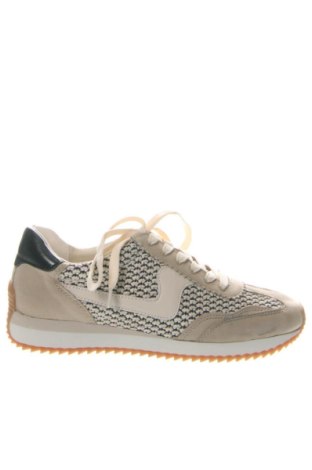 Damenschuhe Dolce Vita, Größe 37, Farbe Mehrfarbig, Preis € 107,99, #136872126