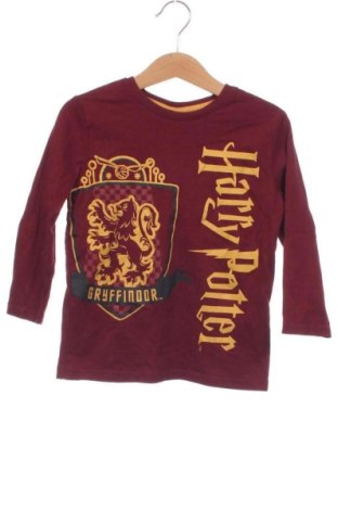 Detská blúzka  Harry Potter, Veľkosť 3-4y/ 104-110 cm, Farba Viacfarebná, Cena  7,95 €, #136836429