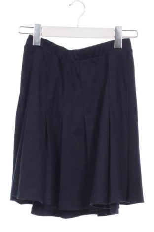 Detská sukňa  Unbranded, Veľkosť 12-13y/ 158-164 cm, Farba Modrá, Cena  3,95 €, #136775293