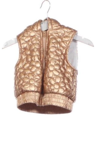 Gyerek mellény Rachel Zoé, Méret 12-18m / 80-86 cm, Szín Arany
, Ár 2 379 Ft, #136778377