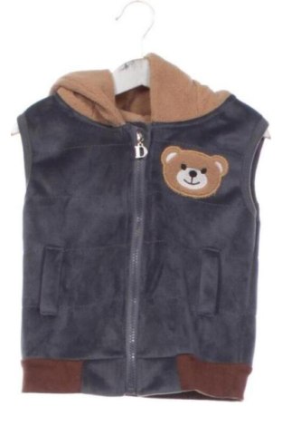Dětská vesta  Unbranded, Velikost 2-3y/ 98-104 cm, Barva Šedá, Cena  189,00 Kč, #136793310