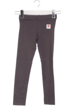 Colanți pentru copii Pepco, Mărime 6-7y/ 122-128 cm, Culoare Gri, Preț 23,99 Lei, #136894908