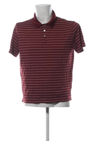Herren T-Shirt Amazon Essentials, Größe L, Farbe Rot, Preis € 8,99, #136903207