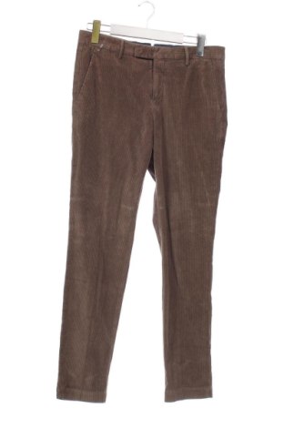 Herren Cordhose PT Torino, Größe M, Farbe Braun, Preis € 45,99, #132030562
