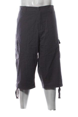 Herren Shorts Surplus, Größe XXL, Farbe Grau, Preis 16,99 €, #136877886