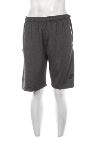 Pánské kraťasy Nike, Velikost L, Barva Šedá, Cena  624,00 Kč, #136896347