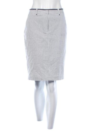 Φούστα Unbranded, Μέγεθος L, Χρώμα Πολύχρωμο, Τιμή 7,97 €, #136870478
