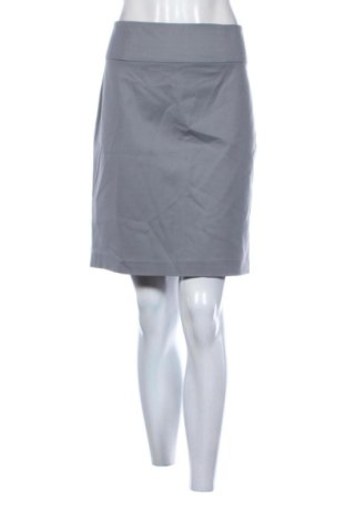 Fustă Banana Republic, Mărime XL, Culoare Gri, Preț 174,68 Lei, #136878102