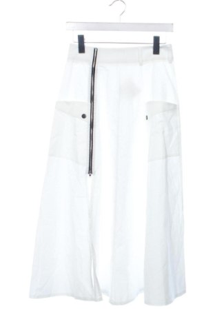 Sukňa Unbranded, Veľkosť XS, Farba Biela, Cena  15,00 €, #136894866