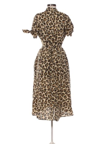 Φόρεμα Zara, Μέγεθος XL, Χρώμα Πολύχρωμο, Τιμή 23,21 €, #136878563