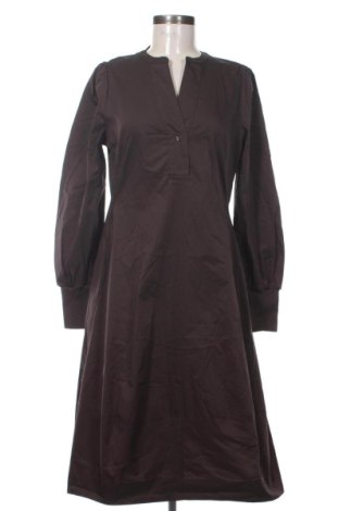 Kleid Culture, Größe M, Farbe Braun, Preis 55,99 €, #136922132