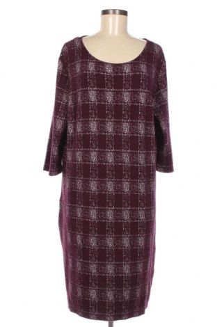 Sukienka Bexleys, Rozmiar XXL, Kolor Kolorowy, Cena 153,99 zł, #127473604