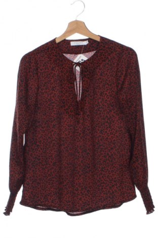 Damen Shirt Costes, Größe XS, Farbe Mehrfarbig, Preis € 1,99